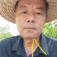 苍穹情
